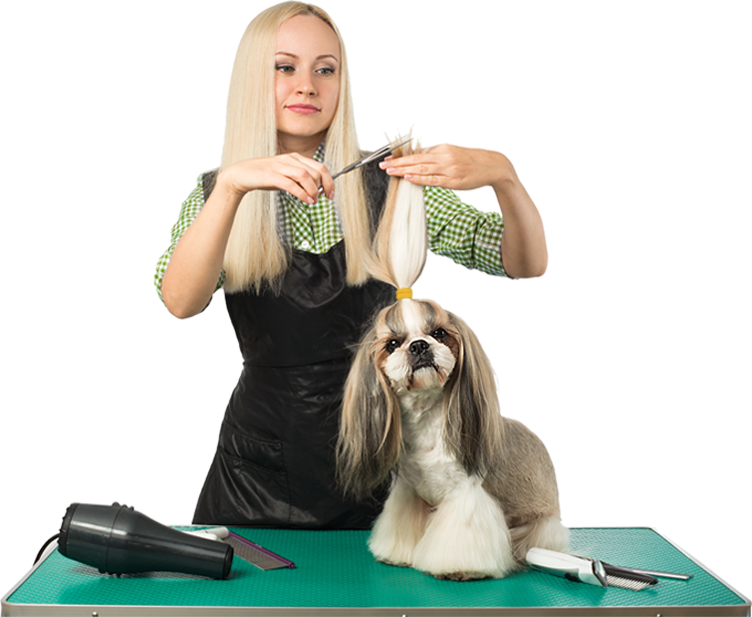 Pet Grooming Monmouth County NJ